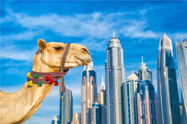 Potovanje po 5 Emiratih - od Dubaja do Fujairaha